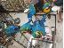 PoulaTo: Talking Macaw Parrots for Sale